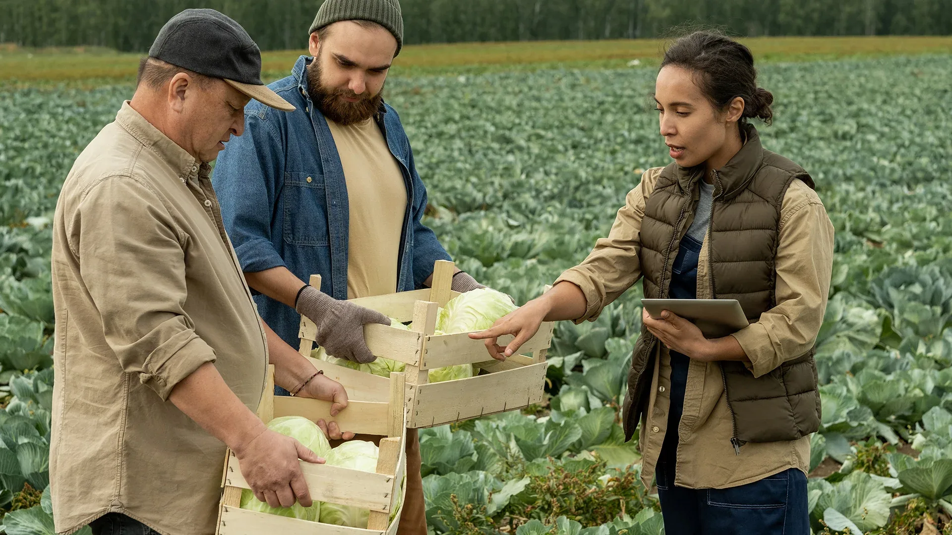 An agritech platform developed under the R&D Tax Incentive